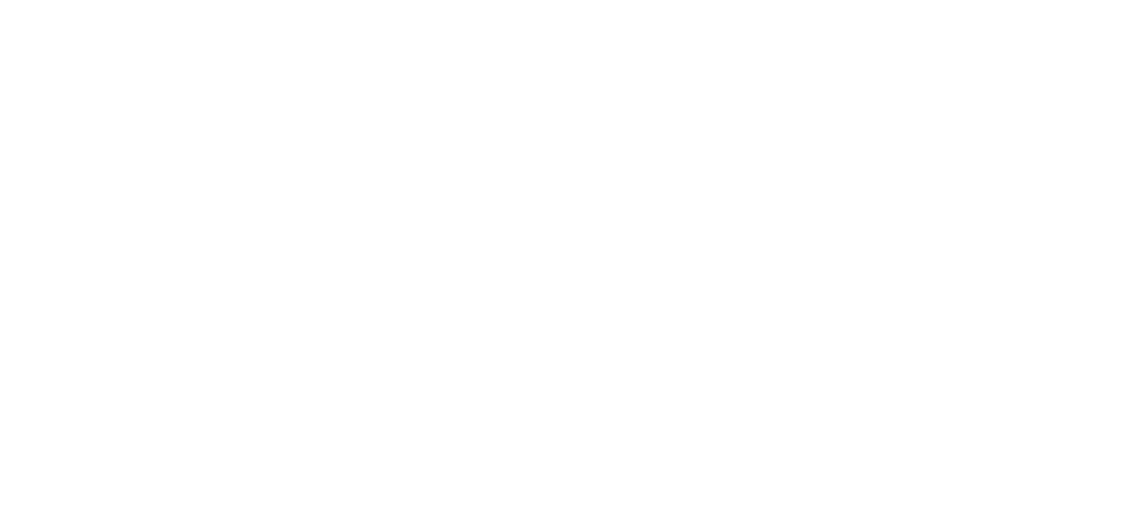 Niall Fox Logo