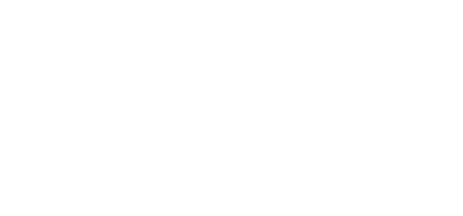 Niall Fox Logo